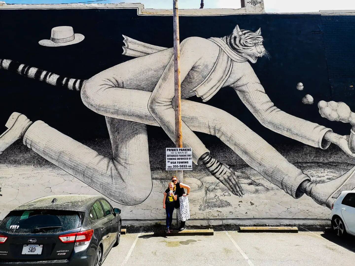 Cat Mural in Richmond