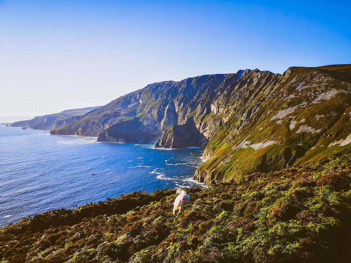 View of the Slieve League Cliffs