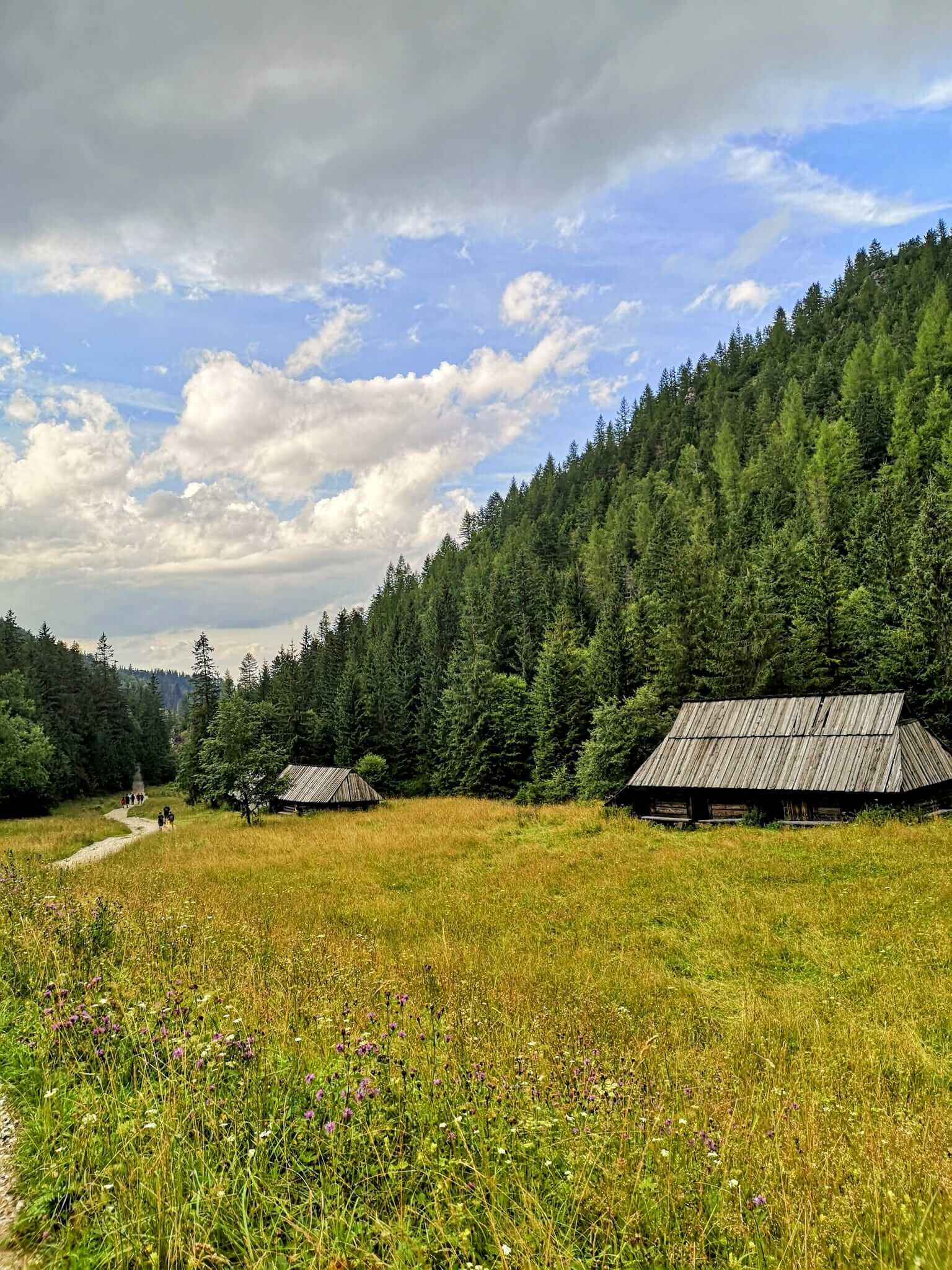 The valley of Jaworzynki in the Tatra Mountains