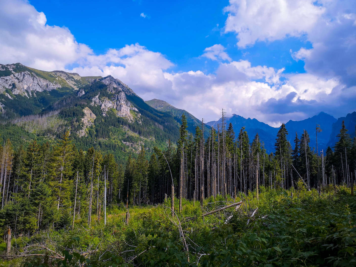 View of the Tatra Mountains
