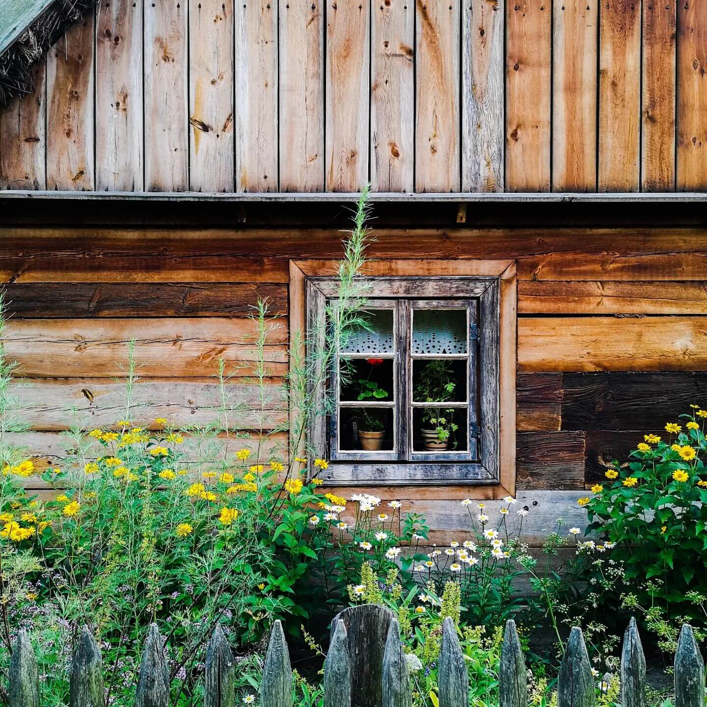 Wooden Window in Torun
